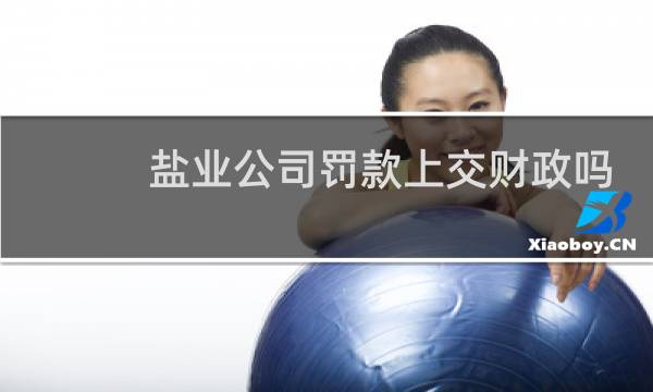 盐业公司罚款上交财政吗
