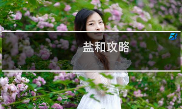 盐和攻略