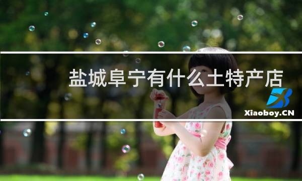 盐城阜宁有什么土特产店