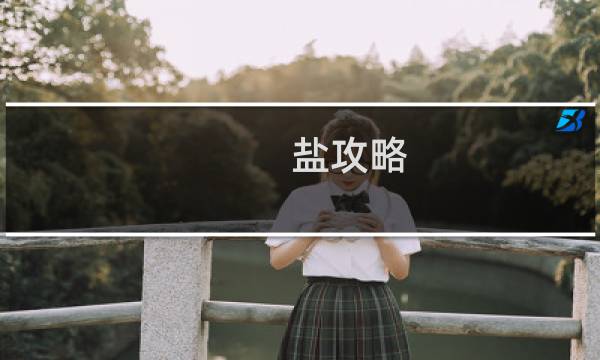 盐攻略
