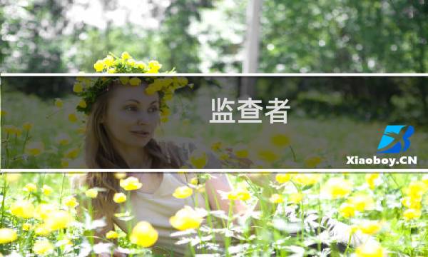 监查者 攻略