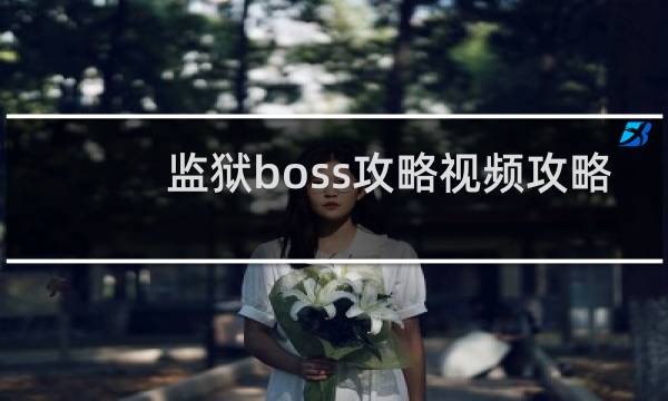 监狱boss攻略视频攻略