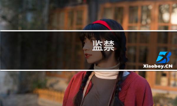 监禁 新娘 游戏攻略