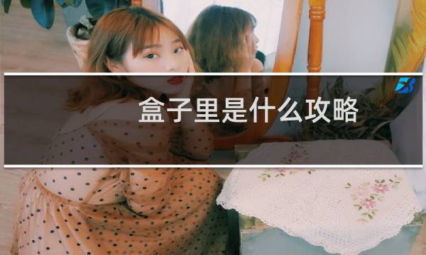 盒子里是什么攻略 43