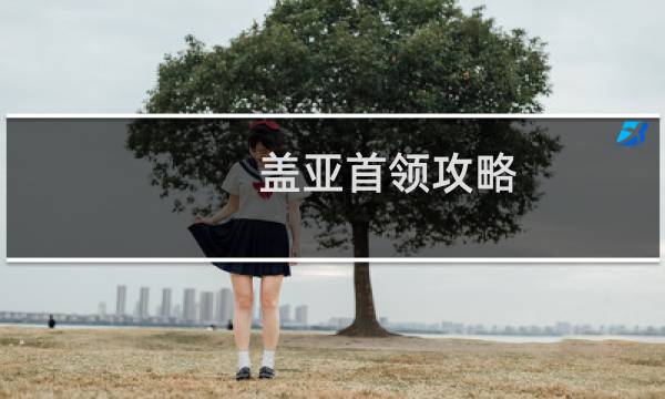 盖亚首领攻略