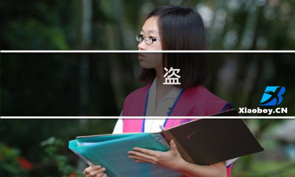 盗 攻略