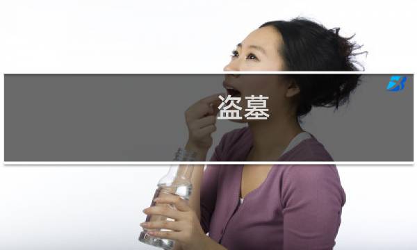 盗墓 攻略