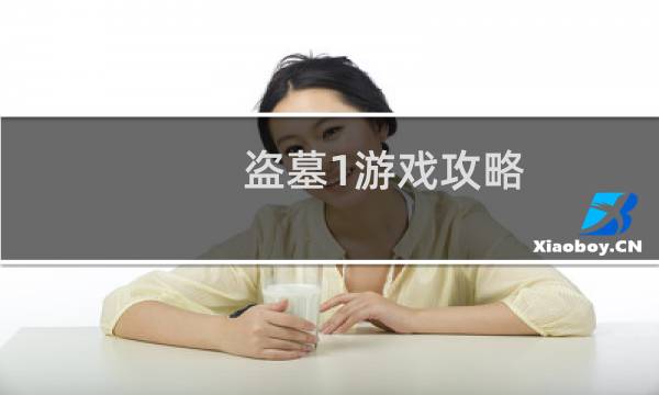 盗墓1游戏攻略