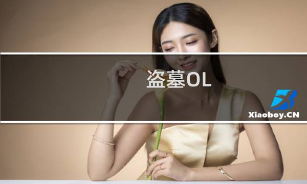 盗墓OL 攻略