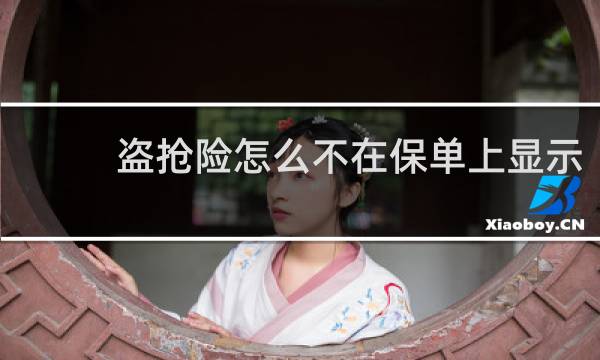 盗抢险怎么不在保单上显示