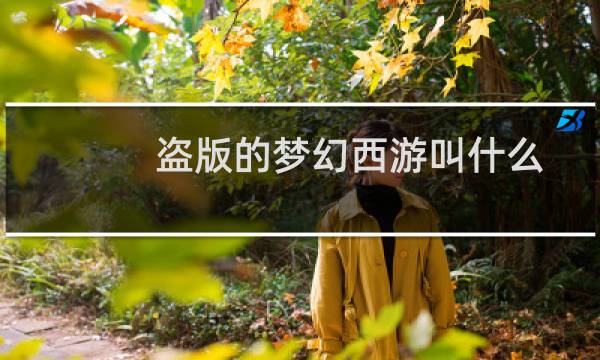 盗版的梦幻西游叫什么