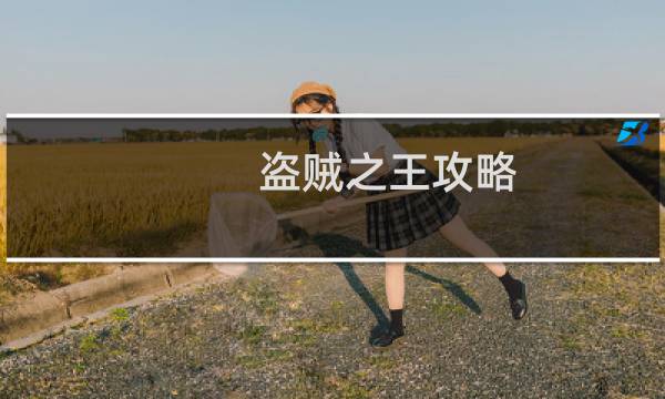 盗贼之王攻略
