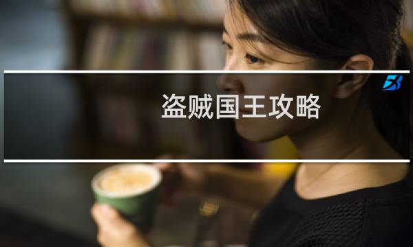 盗贼国王攻略