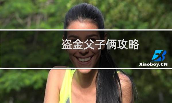 盗金父子俩攻略