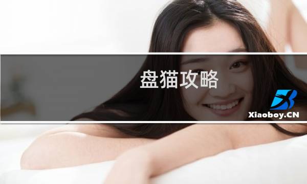 盘猫攻略