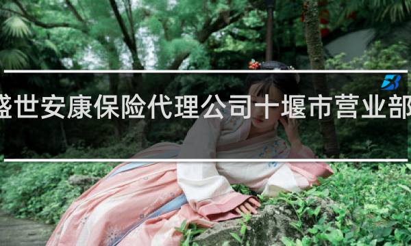 盛世安康保险代理公司十堰市营业部怎么样