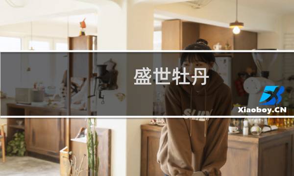 盛世牡丹 攻略