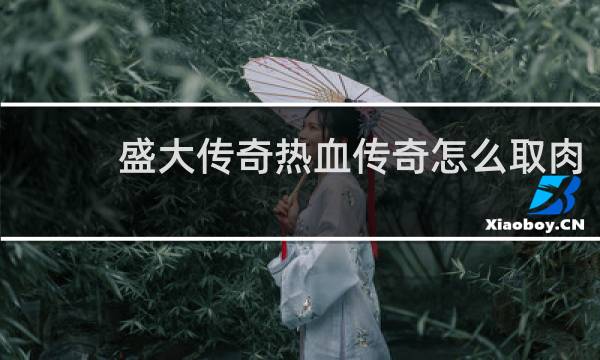 盛大传奇热血传奇怎么取肉