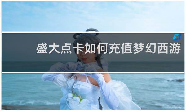盛大点卡如何充值梦幻西游