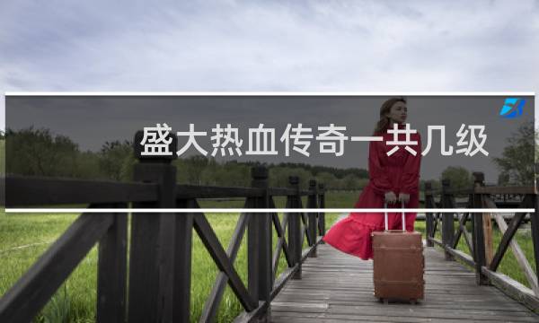盛大热血传奇一共几级