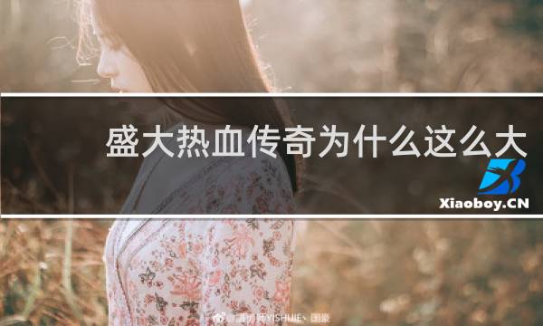 盛大热血传奇为什么这么大