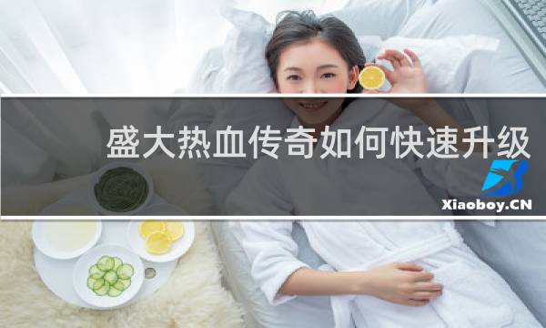 盛大热血传奇如何快速升级