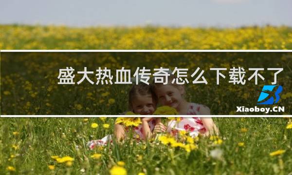 盛大热血传奇怎么下载不了