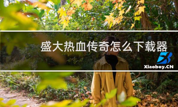 盛大热血传奇怎么下载器