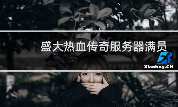 盛大热血传奇服务器满员
