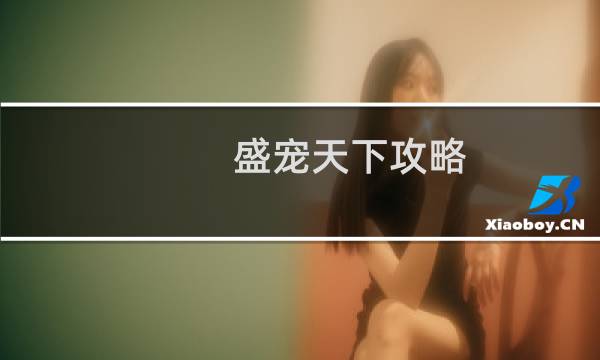 盛宠天下攻略