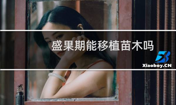 盛果期能移植苗木吗