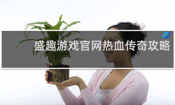 盛趣游戏官网热血传奇攻略