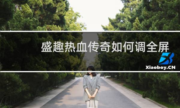 盛趣热血传奇如何调全屏