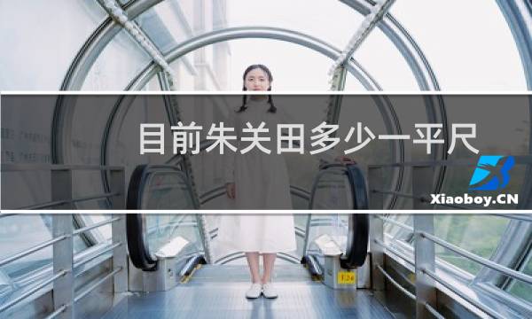 目前朱关田多少一平尺