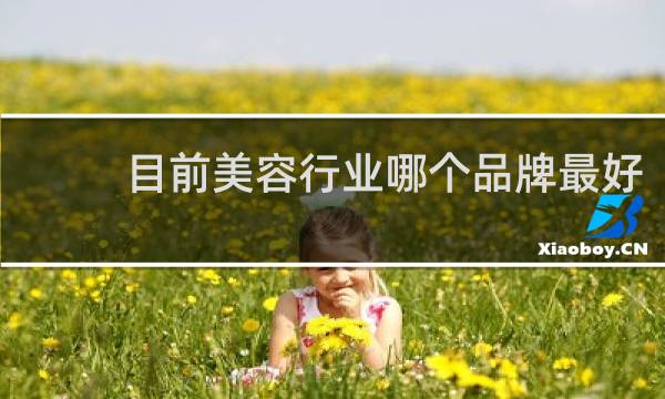 目前美容行业哪个品牌最好