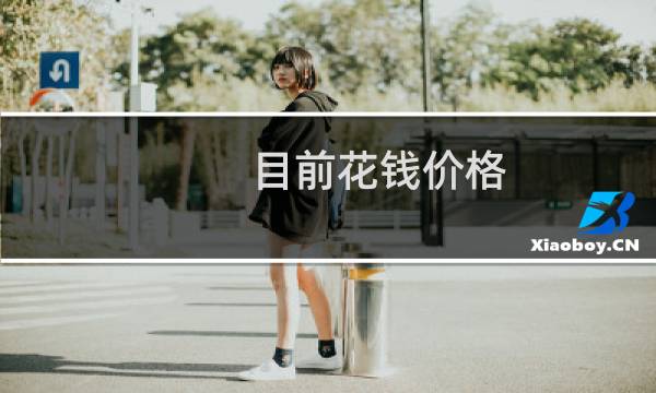 目前花钱价格