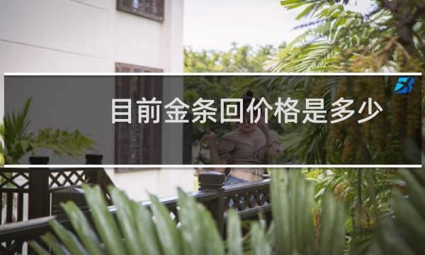 目前金条回价格是多少