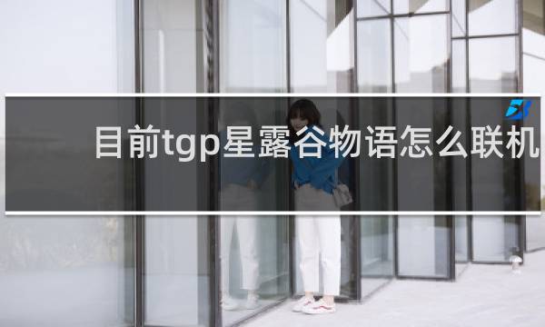目前tgp星露谷物语怎么联机
