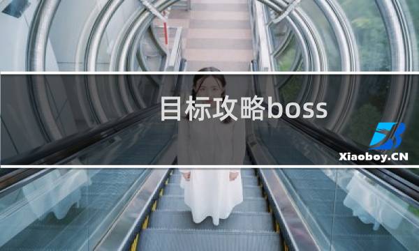 目标攻略boss
