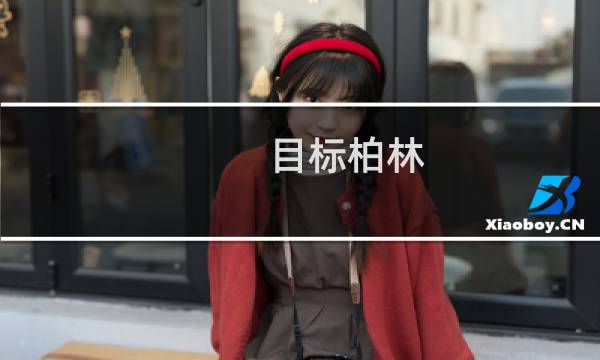 目标柏林 攻略