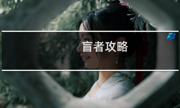 盲者攻略