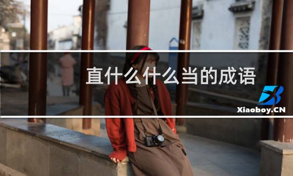直什么什么当的成语