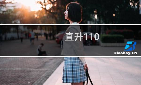 直升110 攻略