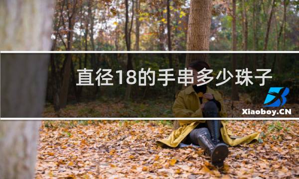 直径18的手串多少珠子