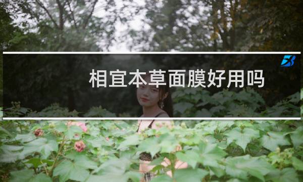 相宜本草面膜好用吗