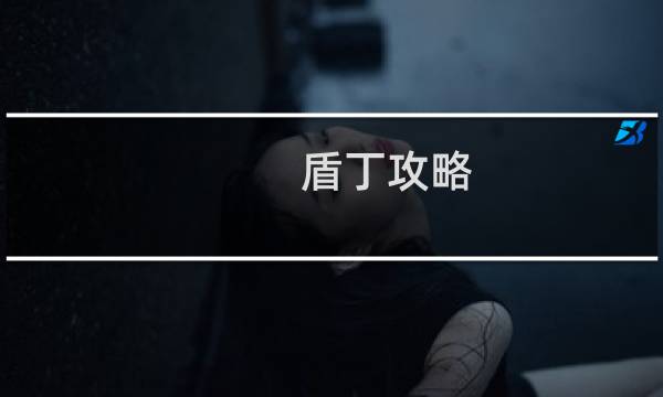 盾丁攻略