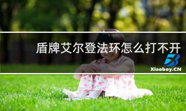 盾牌艾尔登法环怎么打不开