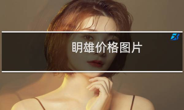 眀雄价格图片