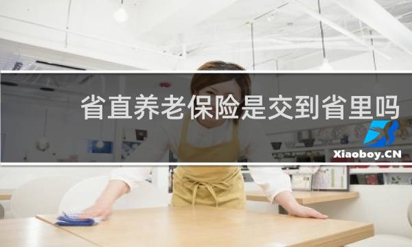 省直养老保险是交到省里吗