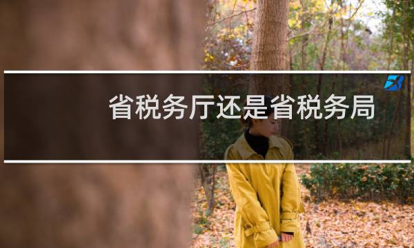 省税务厅还是省税务局